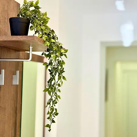 Charm 2 Apartment *